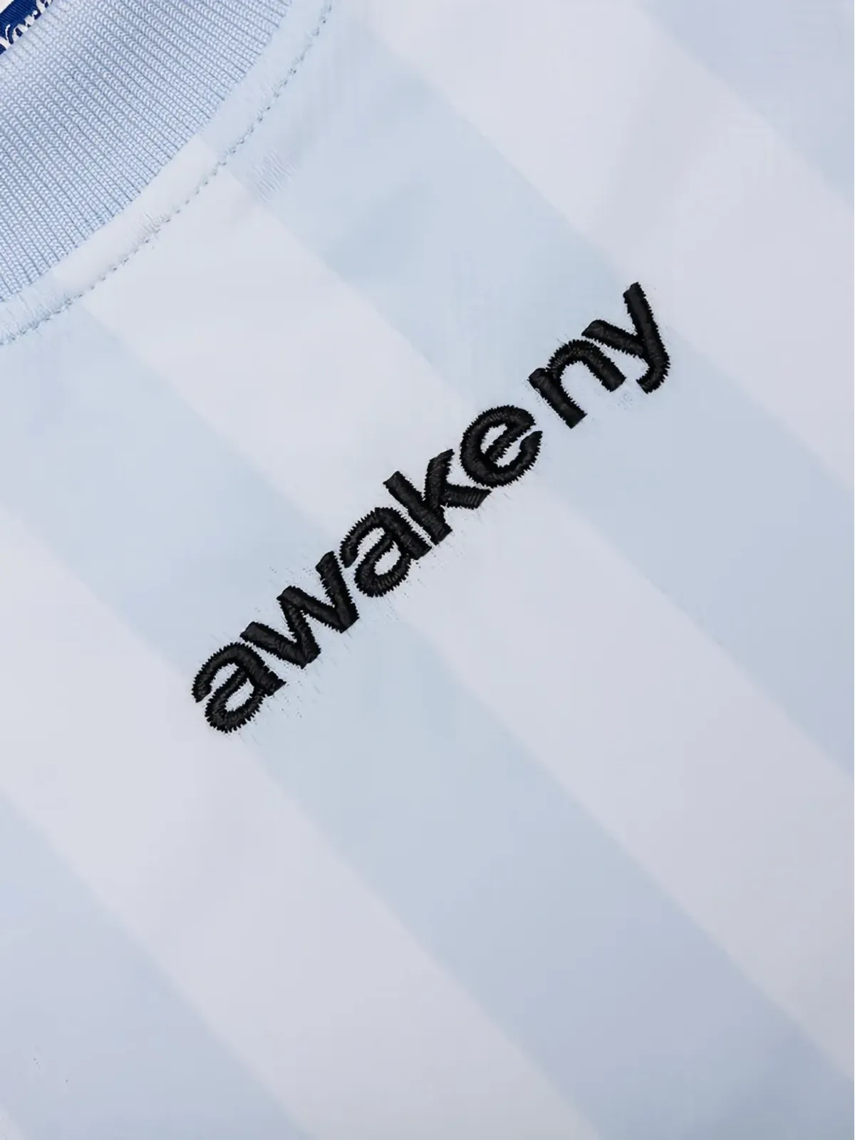 Awake NY ストライプ柄Tシャツ - ブルー - 画像3
