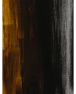 Faliero Sarti ペイントプリントシルクスカーフ ブラウン - サムネイル3