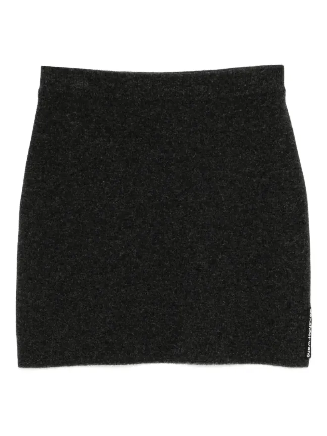 Alexander Wang Alexander Wang ホットフィックスミニスカートの商品画像