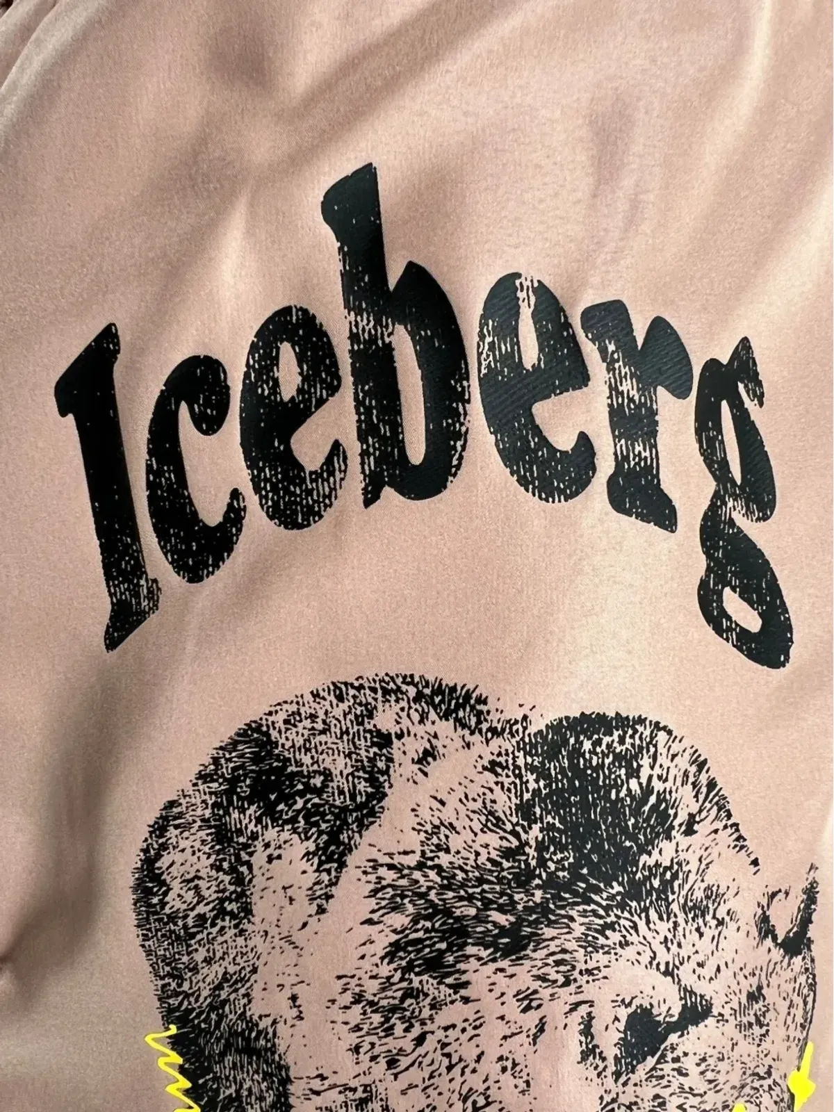 Iceberg グラフィックプリントスイムショーツ - Neutrals - 画像5