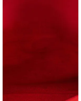 Louis Vuitton Pre-Owned モノグラム・ツワイス クロスボディバッグ ブラウン - サムネイル5