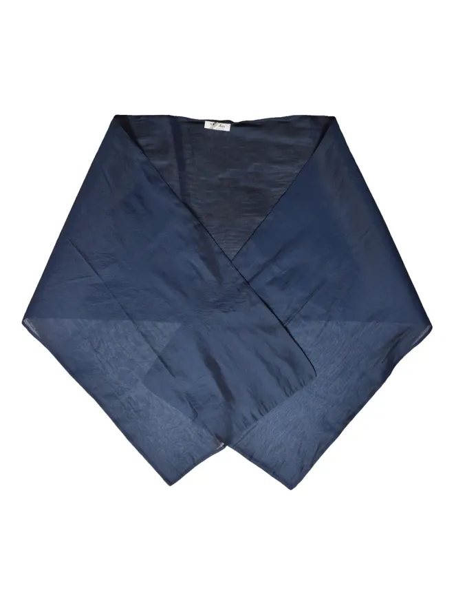 Max Mara Max Mara 長方形スカーフ - ブルーの商品画像