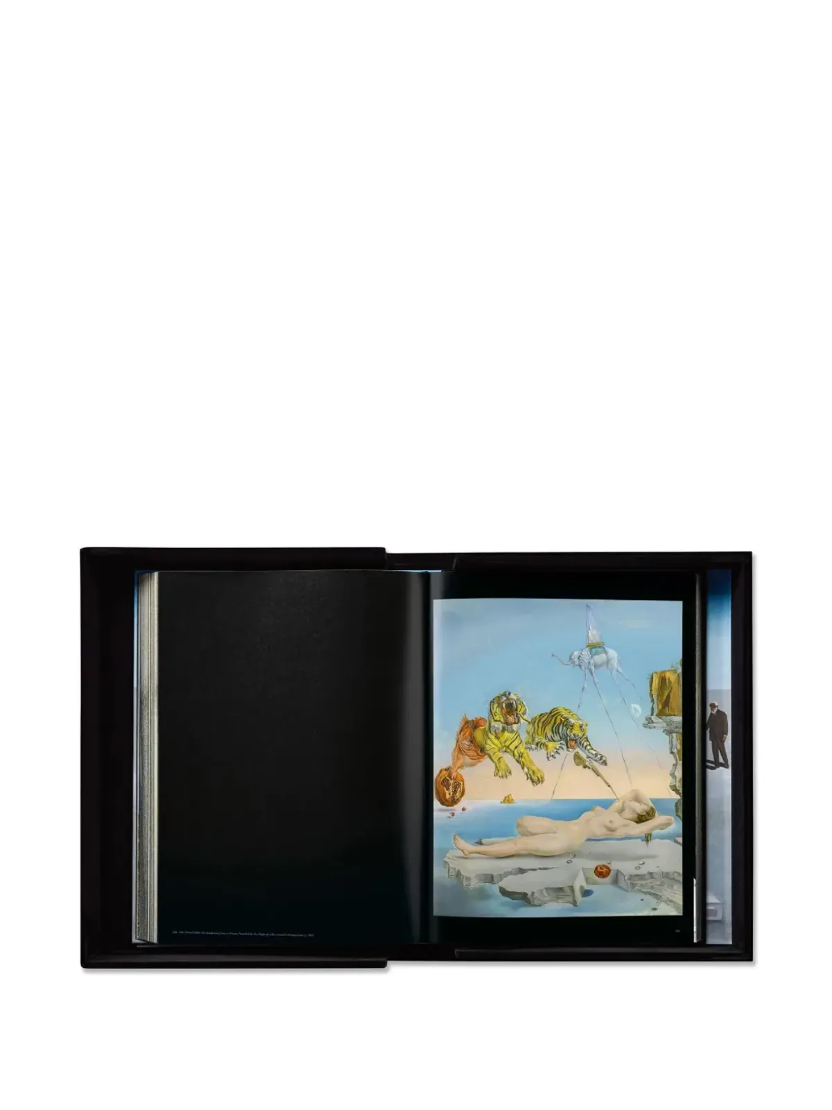 TASCHEN Dalí ブックセット（3冊組） - ブラック - 画像3