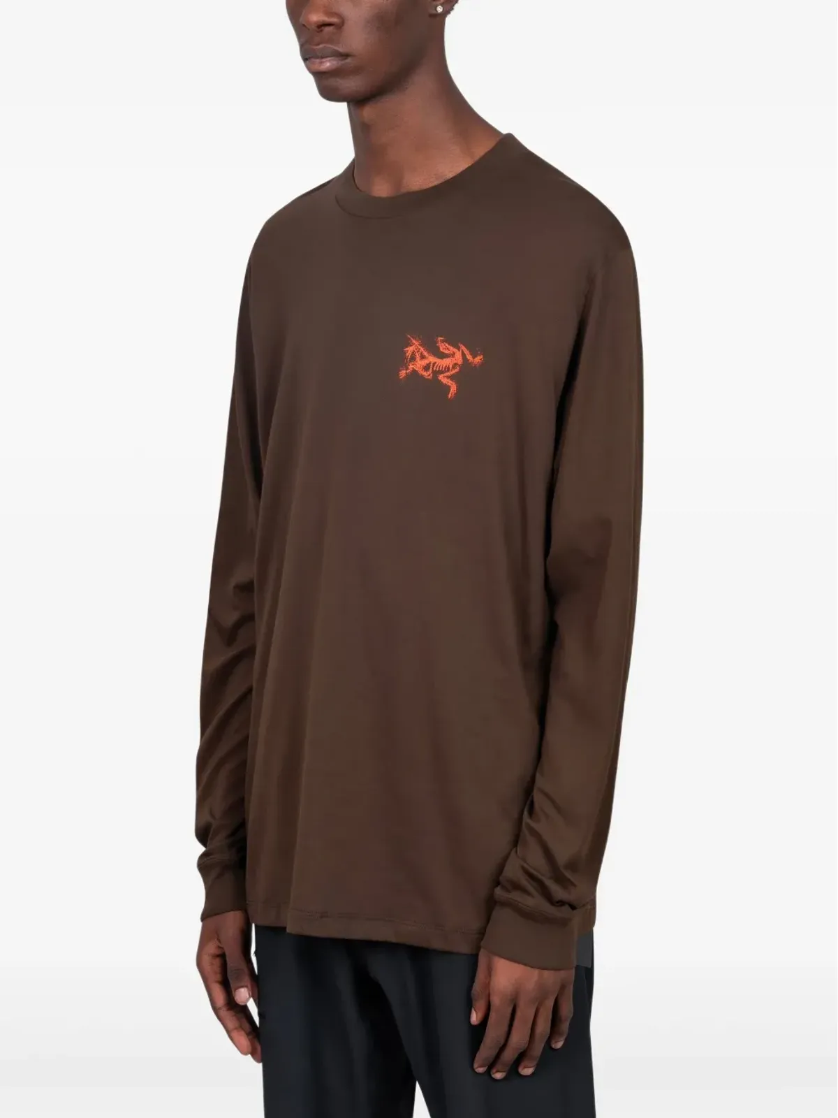 Arc'teryx Kragg Bird Tile コットンTシャツ - 画像2