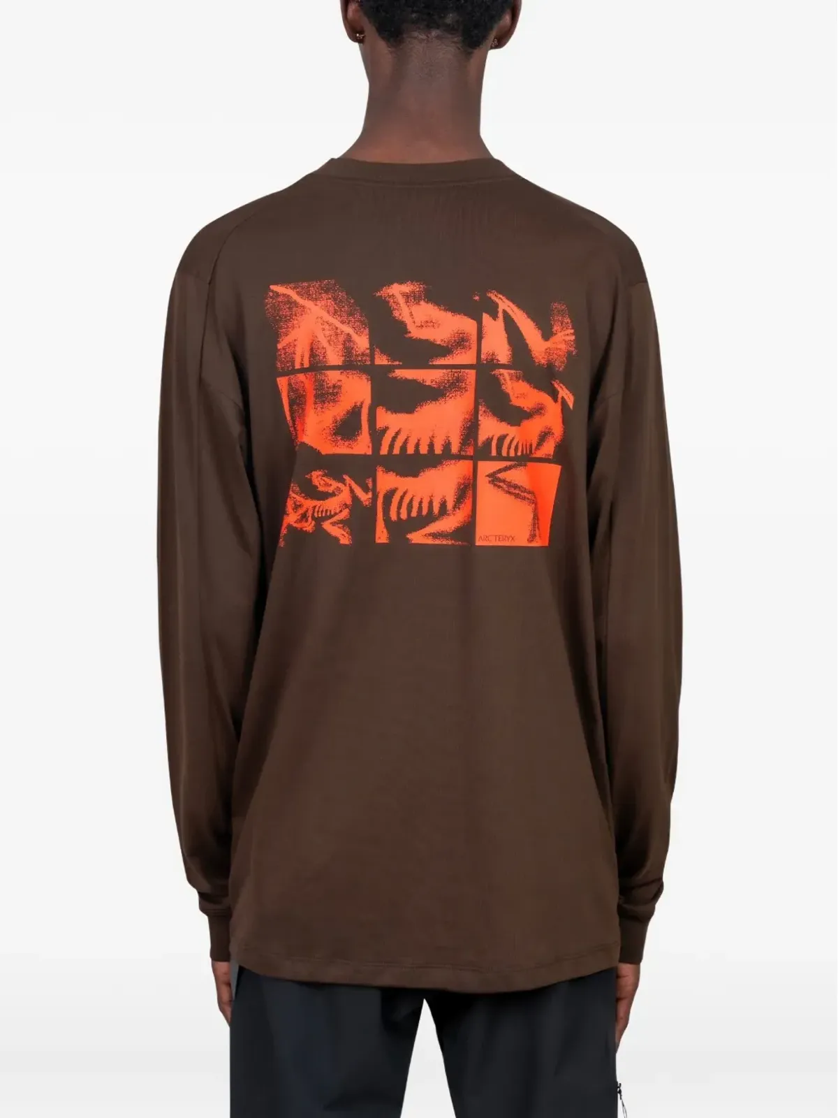 Arc'teryx Kragg Bird Tile コットンTシャツ - 画像3