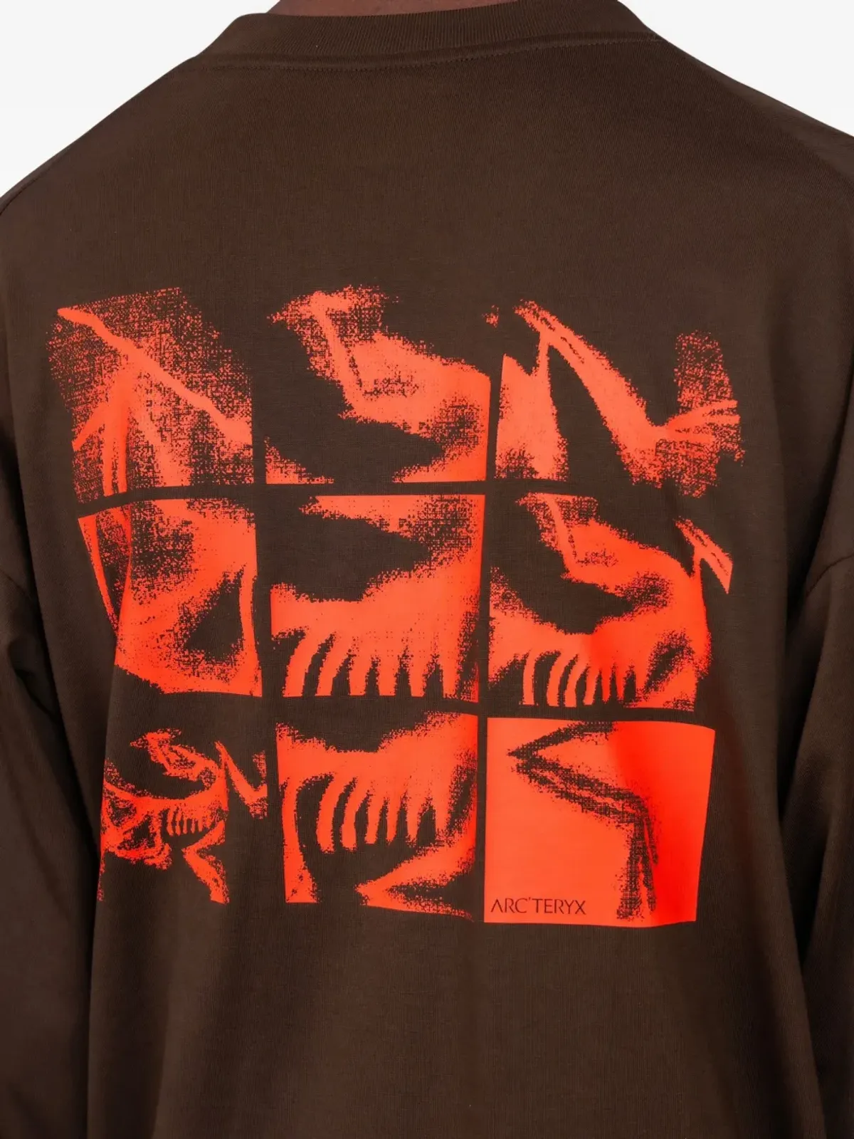 Arc'teryx Kragg Bird Tile コットンTシャツ - 画像4