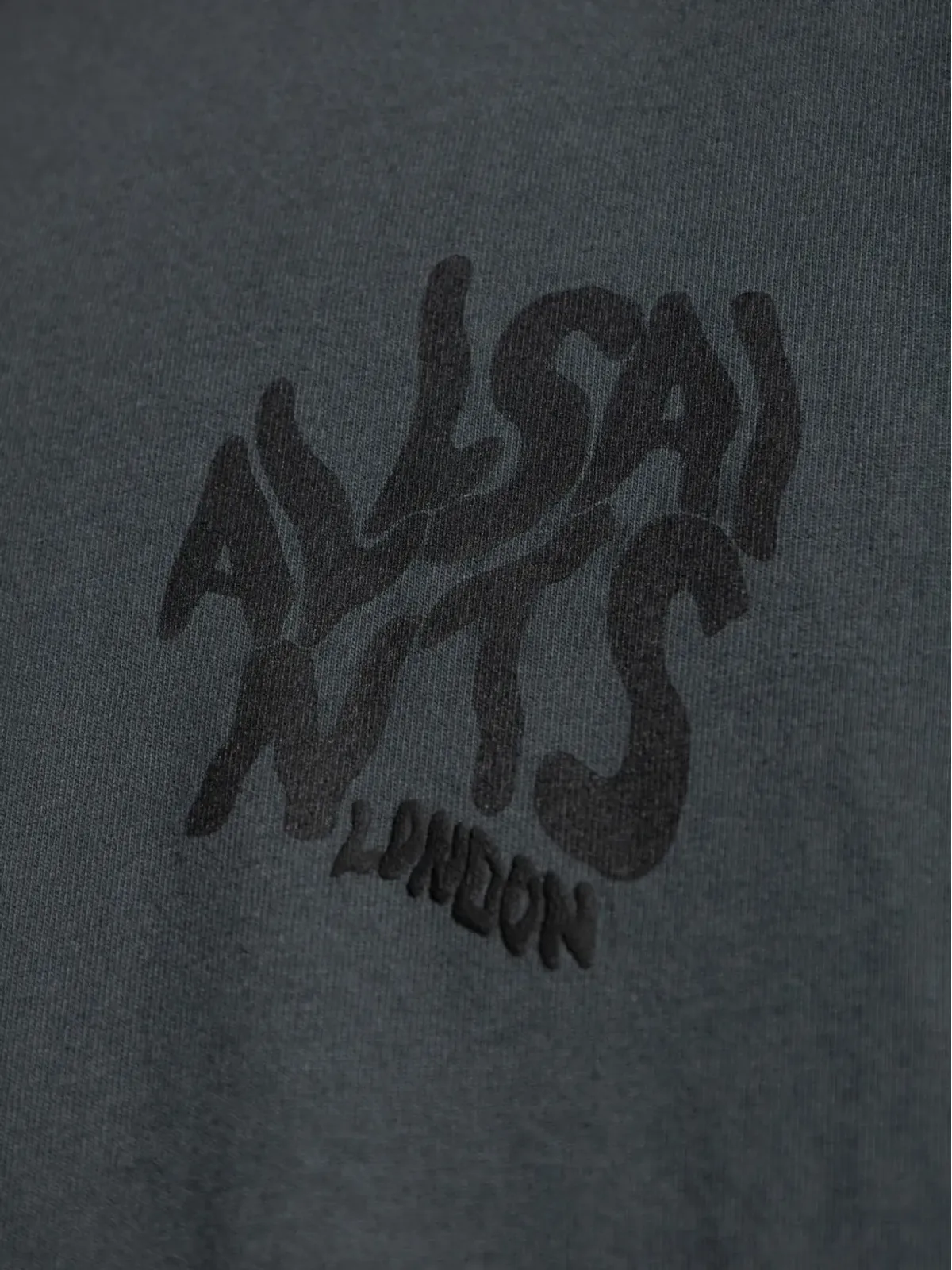 AllSaints オーランド ロゴディテール Tシャツ - 画像5