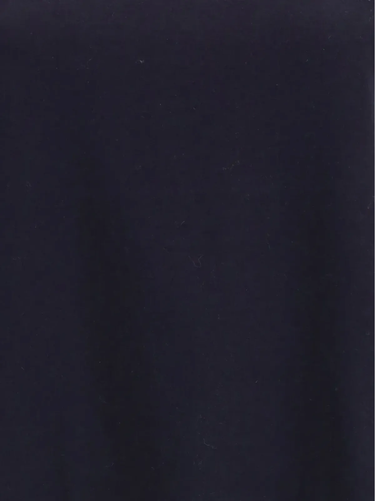 Loro Piana クルーネック コットンTシャツ - 画像3