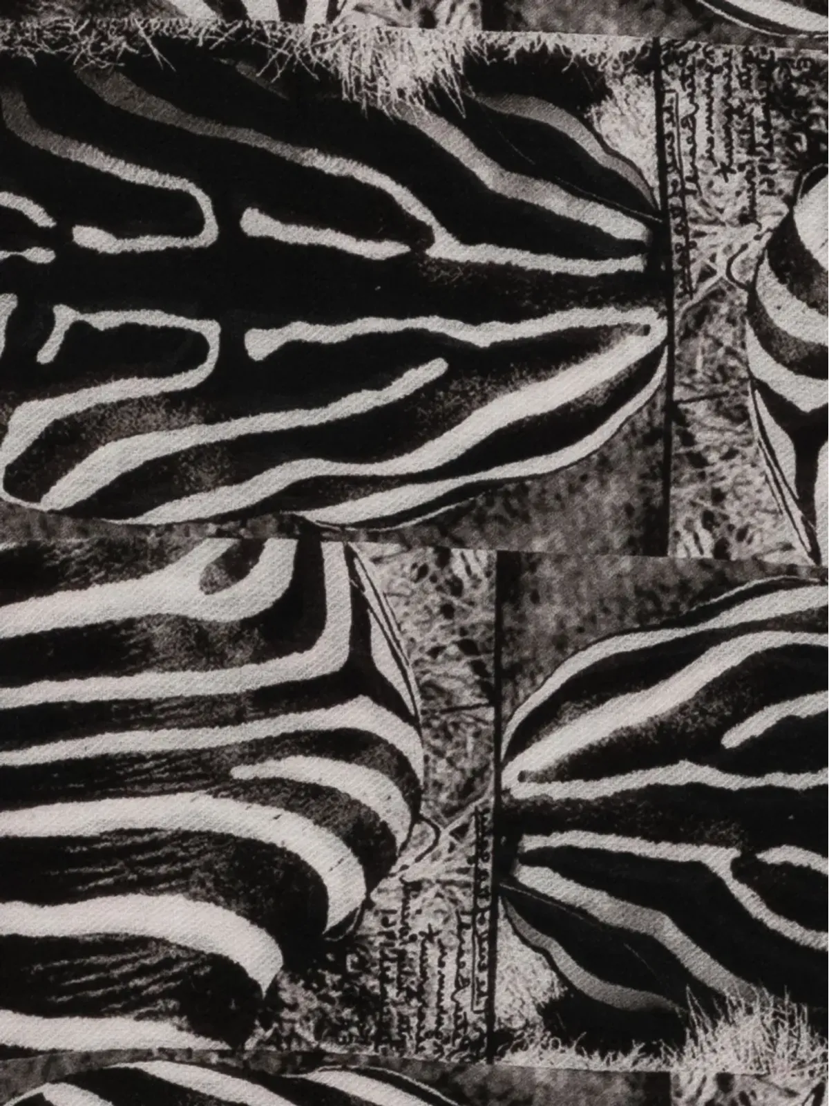 Faliero Sarti ゼブラ柄フリンジスカーフ - 画像2