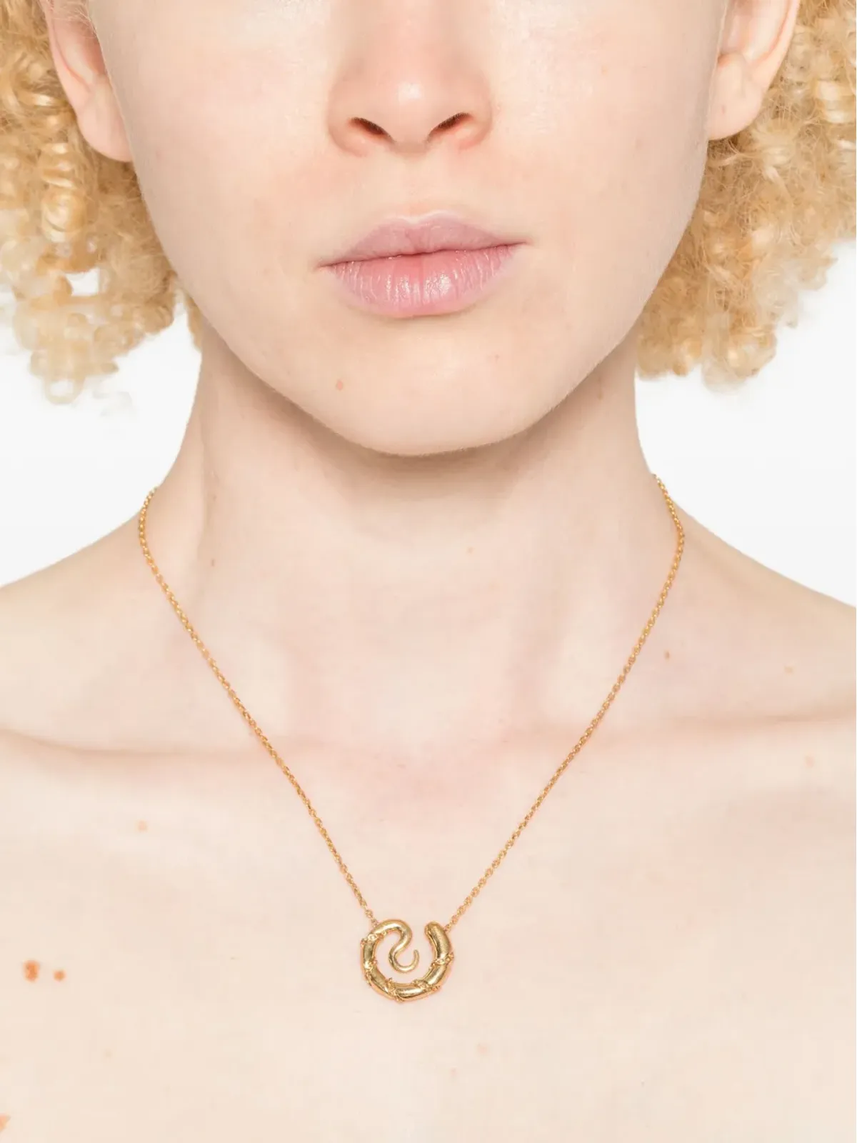 Panconesi Serpent Medallion chain necklace - Gold - 画像2