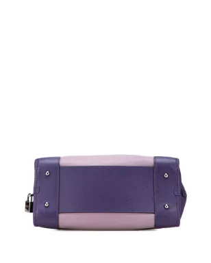 Loewe ビンテージ アマゾナ ハンドバッグ - サムネイル4
