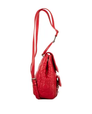 Christian Dior Pre-Owned キルティング ロゴプレート バックパック - サムネイル5