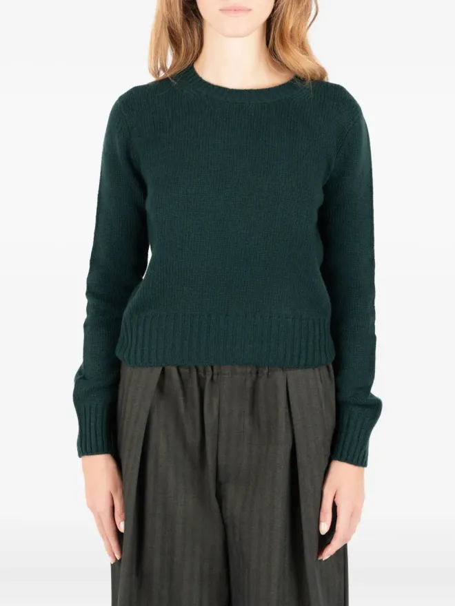 Société Anonyme Société Anonyme Scarlett クルーネックセーター グリーンの商品画像