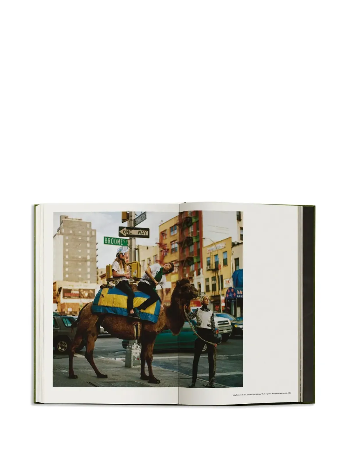 TASCHEN マイエデュケーションブック - 画像3