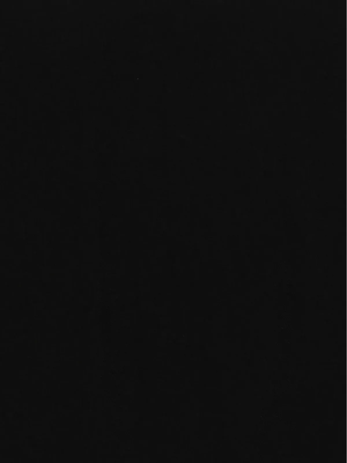 Destin フリンジ付きカシミアストール（ブラック） - 画像2