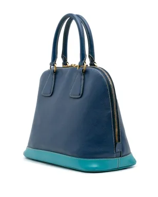Prada Pre-Owned 2000-2025 バイカラー サフィアーノ Lux Promenade Dome ハンドバッグ - ブルー - サムネイル3