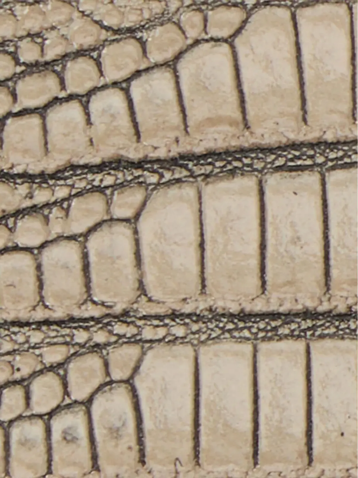 Roberto Cavalli コブラ柄スネークバックルベルト - Neutrals - 画像4