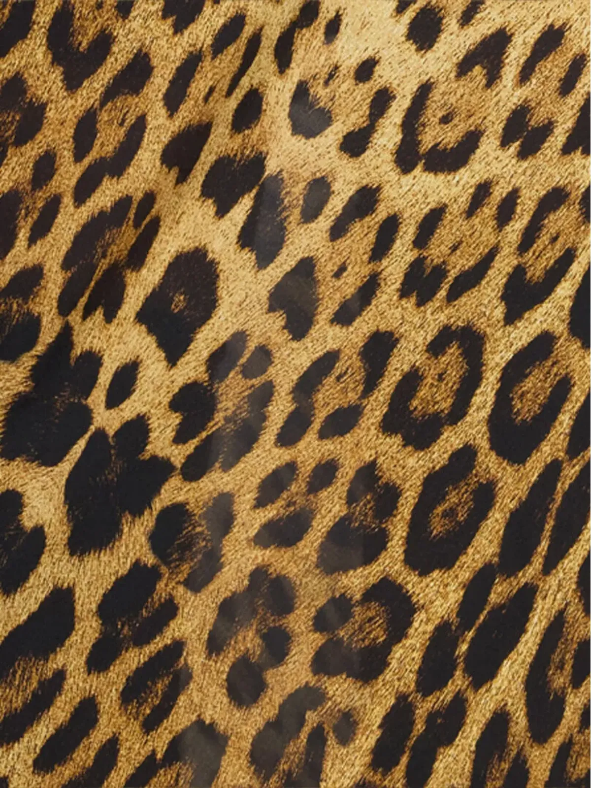 Roberto Cavalli カウルネック ヒョウ柄 マキシドレス（ブラウン） - 画像5