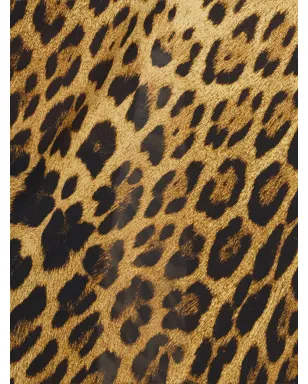 Roberto Cavalli カウルネック ヒョウ柄 マキシドレス（ブラウン） - サムネイル5
