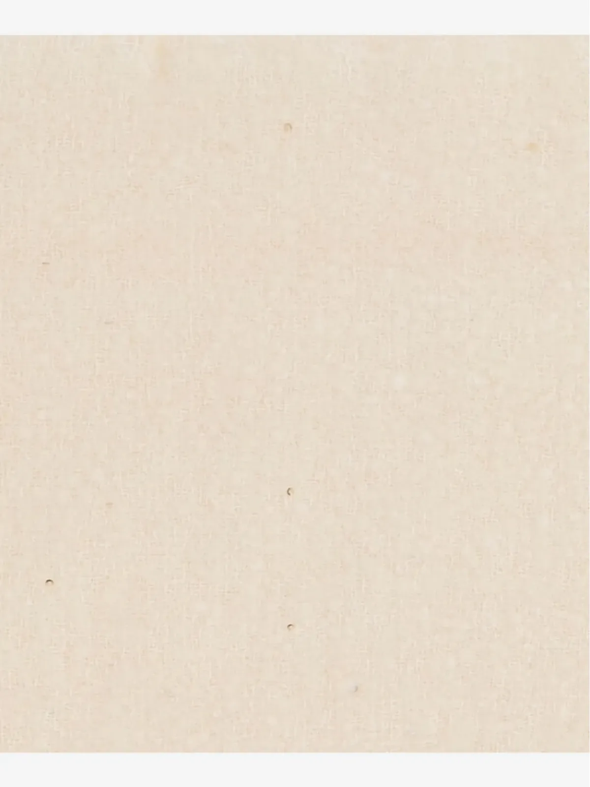 Faliero Sarti エンベリッシュド フリンジエッジ スカーフ - 画像2