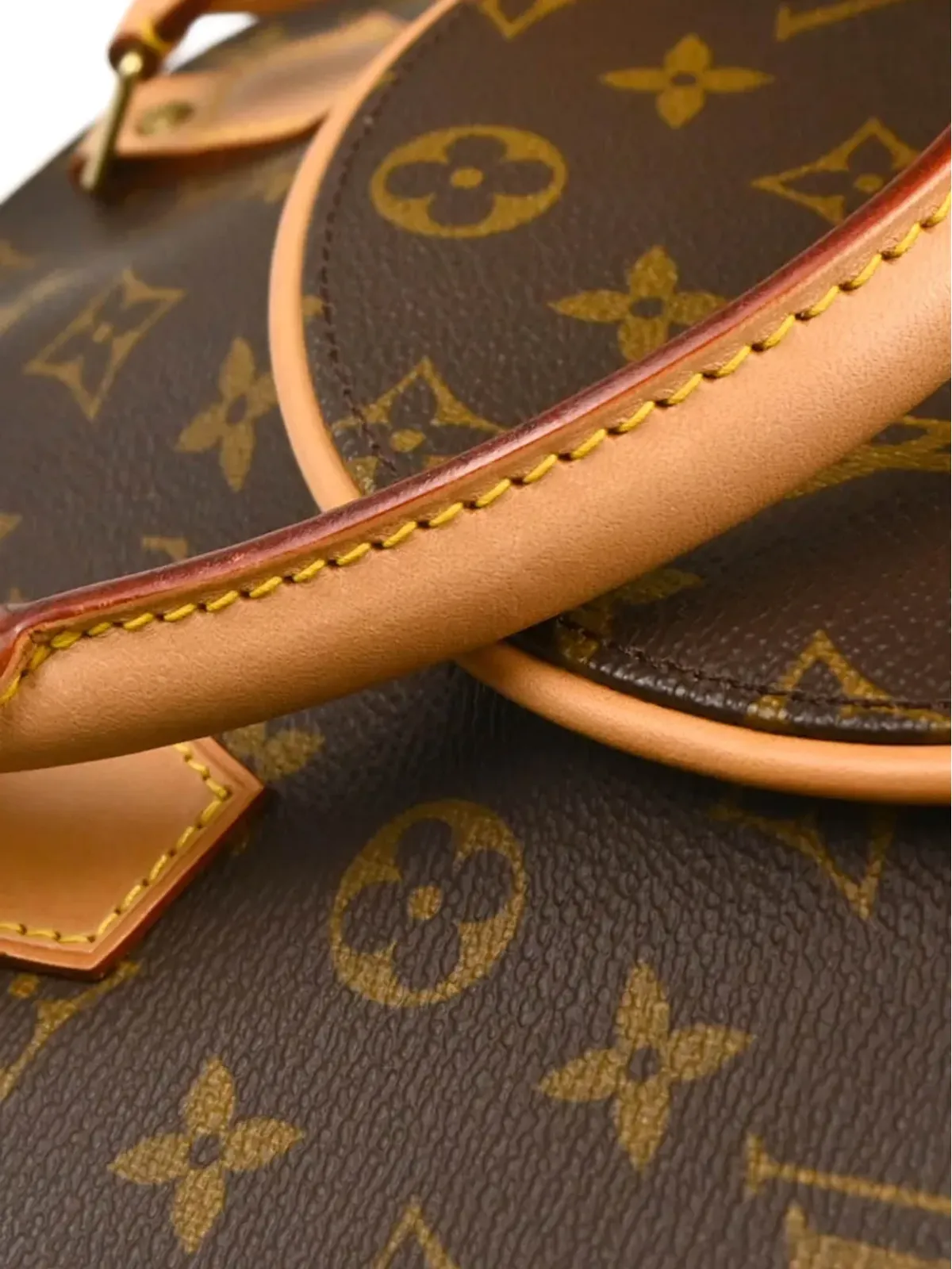 Louis Vuitton Pre-Owned 1998 Monogram Ellipse MM ハンドバッグ（ブラウン） - 画像4