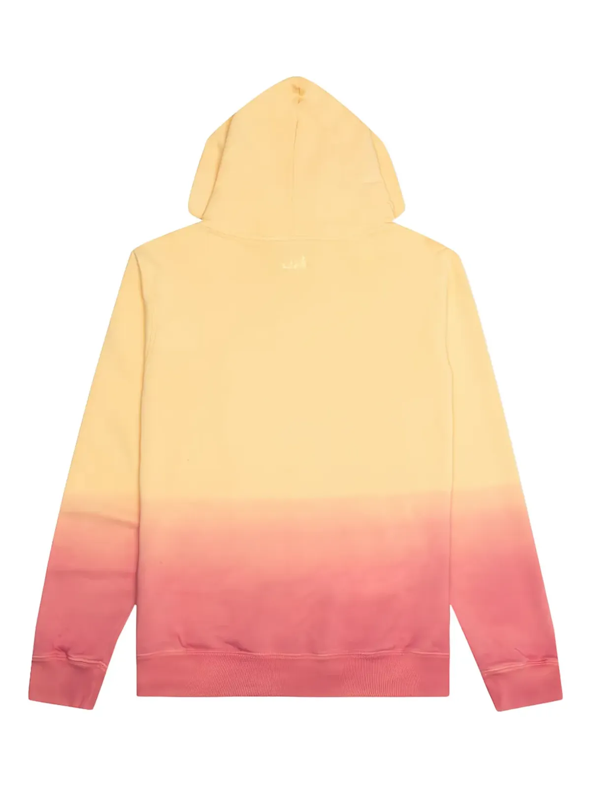 Lanvin ombre palm-tree hoodie - Neutrals - 画像2
