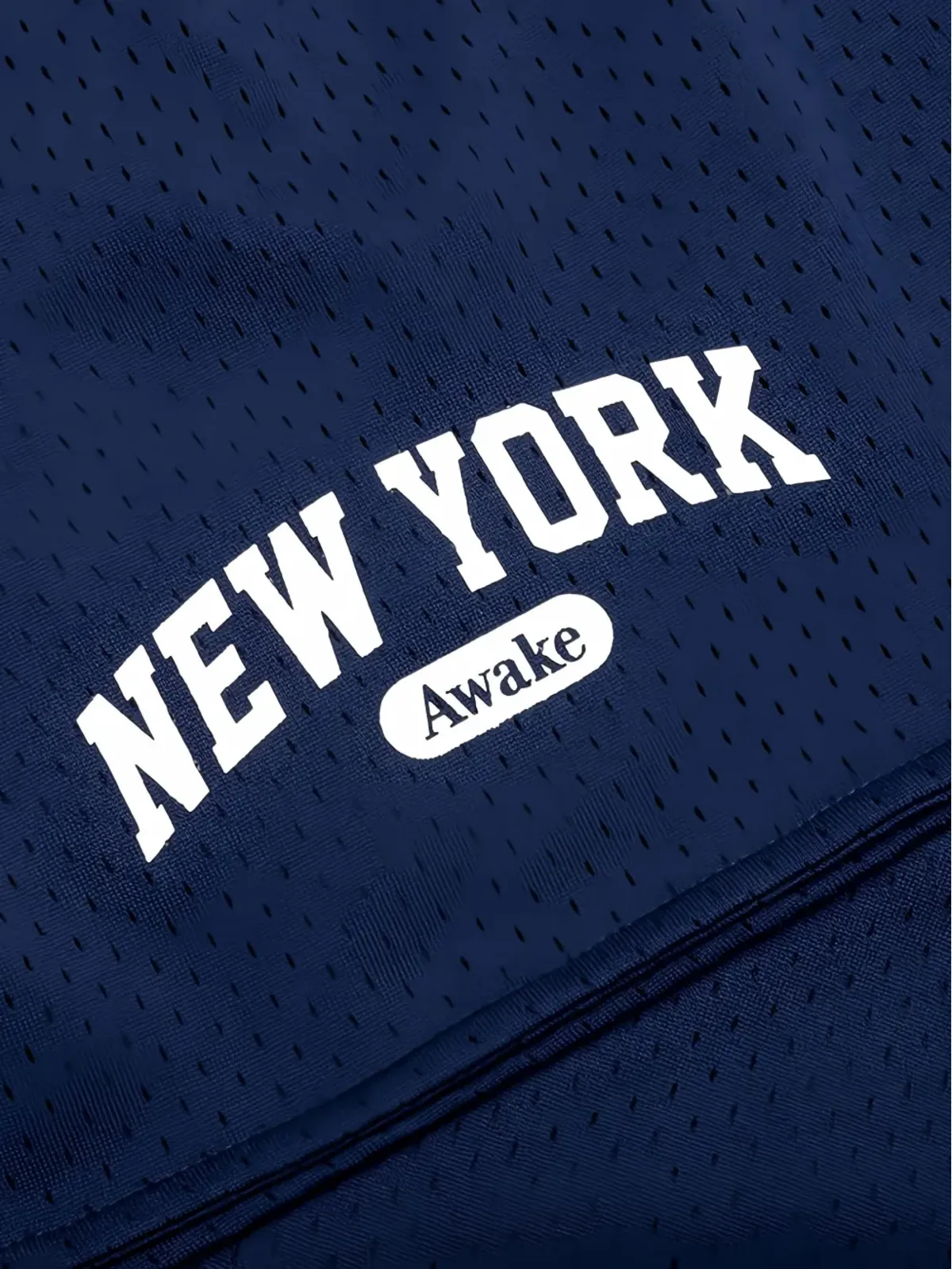 Awake NY アーチウェイ バスケットボール メッシュショーツ - 画像4
