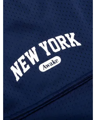 Awake NY アーチウェイ バスケットボール メッシュショーツ - サムネイル4