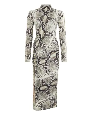 Roberto Cavalli パイソン柄ミディ丈ドレス（グレー） - サムネイル1