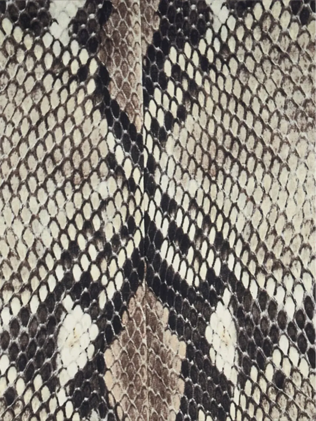 Roberto Cavalli パイソン柄ミディ丈ドレス（グレー） - 画像5