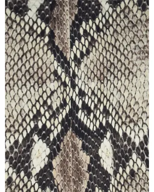 Roberto Cavalli パイソン柄ミディ丈ドレス（グレー） - サムネイル5