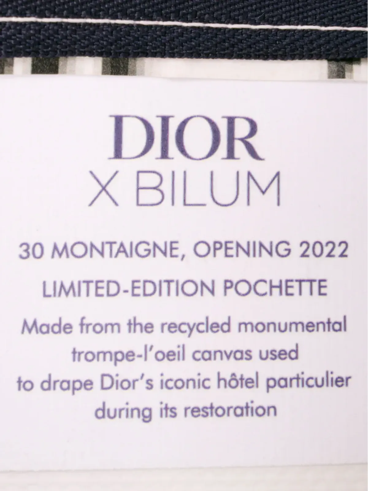 Christian Dior Pre-Owned 2022 Limited Edition Bilum Trompe Loeil Canvas 30 Montaigne Pochette ポーチ - White - 画像5