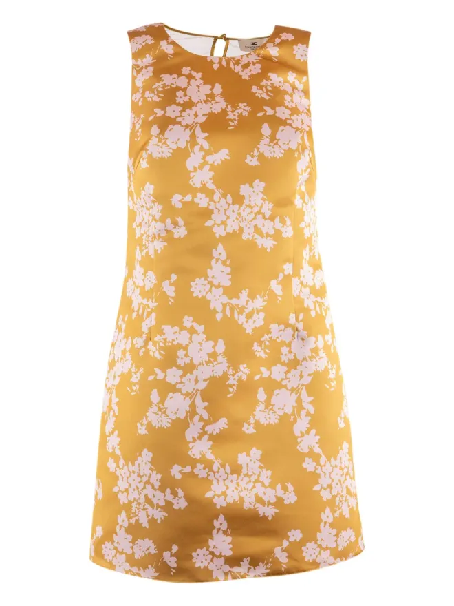 Elisabetta Franchi Elisabetta Franchi 花柄刺繍ミニドレスの商品画像