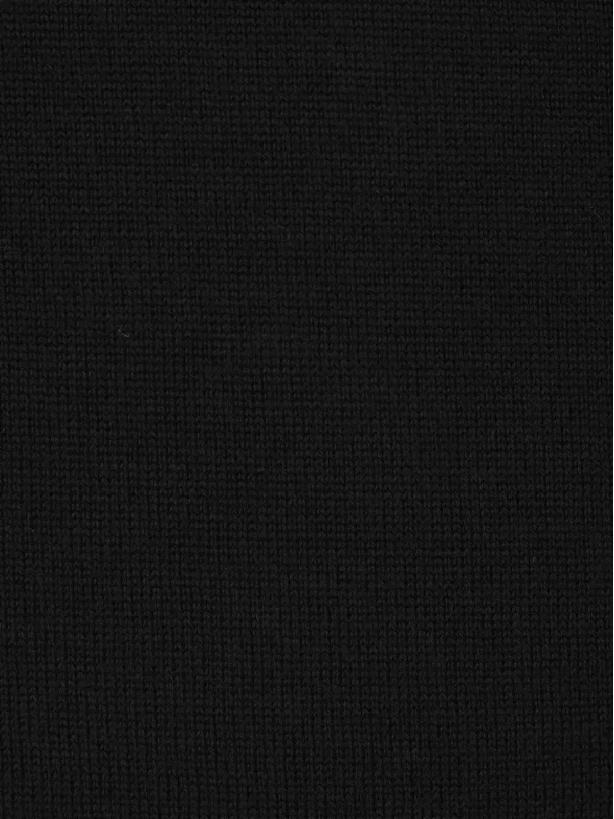 Allude 半袖タートルネックセーター - 画像4
