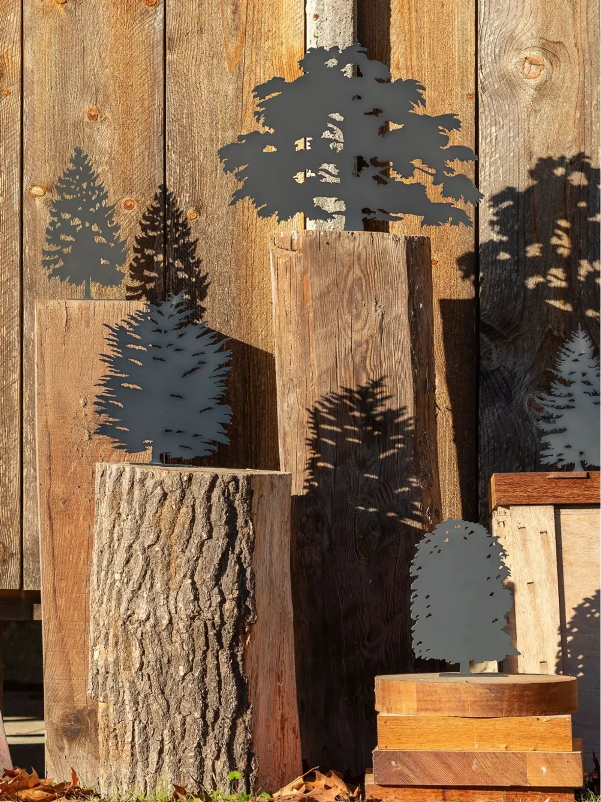 Produzione Privata Cedrus Liban sculpture - Black - 画像3