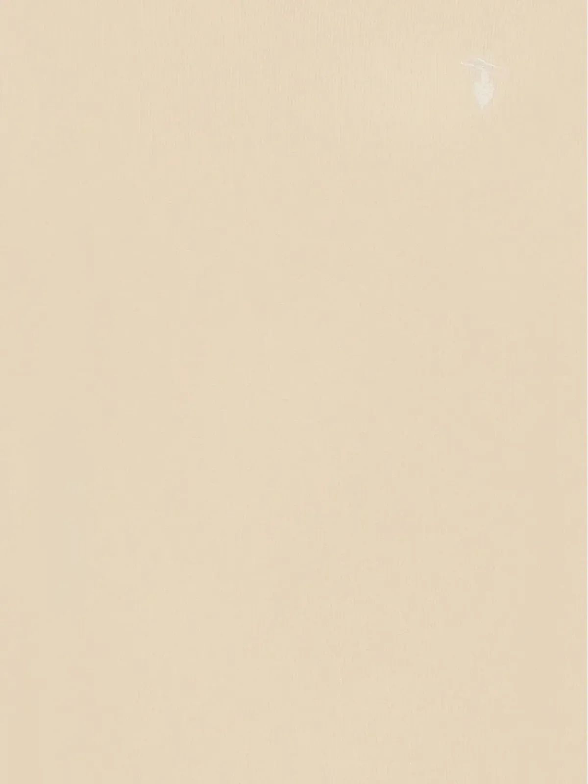 TRUSSARDI JUNIOR ロールネック刺繍入りタートルネック - 画像3