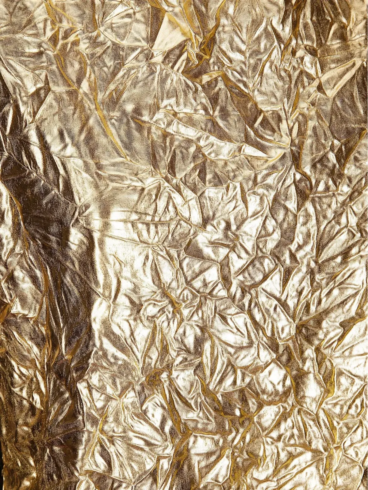 Maria Calderara メタリック風シワ加工トップ - 画像3