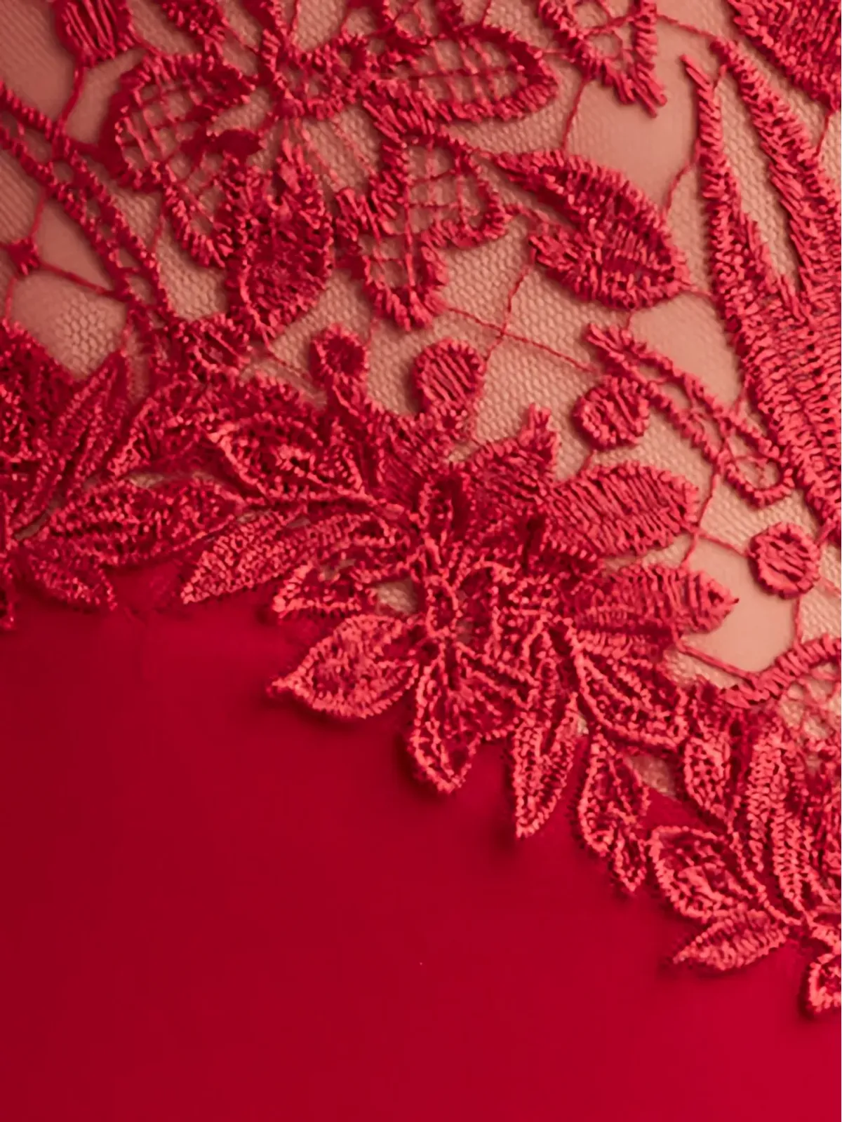 Tadashi Shoji レースインサートドレス レッド - 画像5