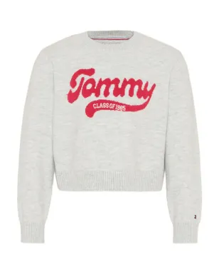 Tommy Hilfiger Junior ロゴ入りインターシャ クルーネックトップ - サムネイル1