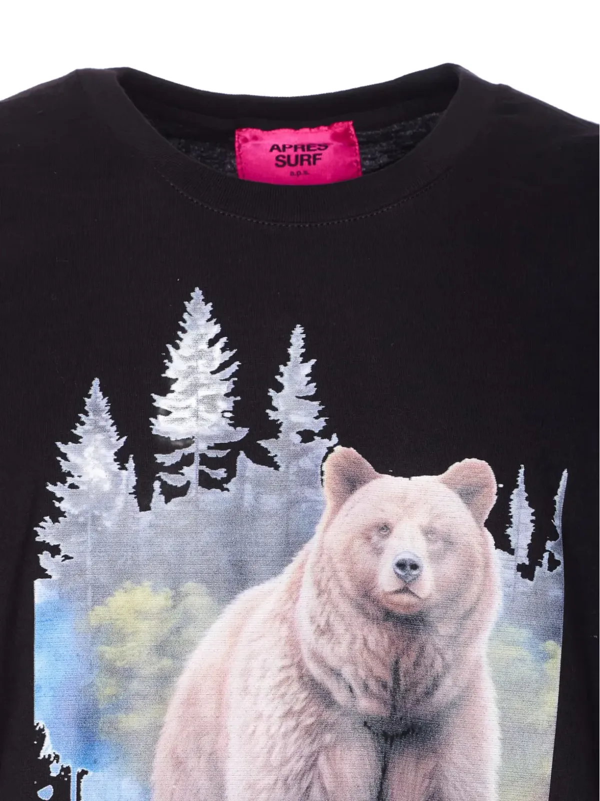 Après Surf Makalu クルーネック Tシャツ - 画像3