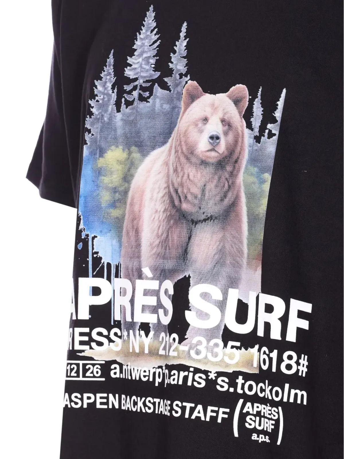 Après Surf Makalu クルーネック Tシャツ - 画像4