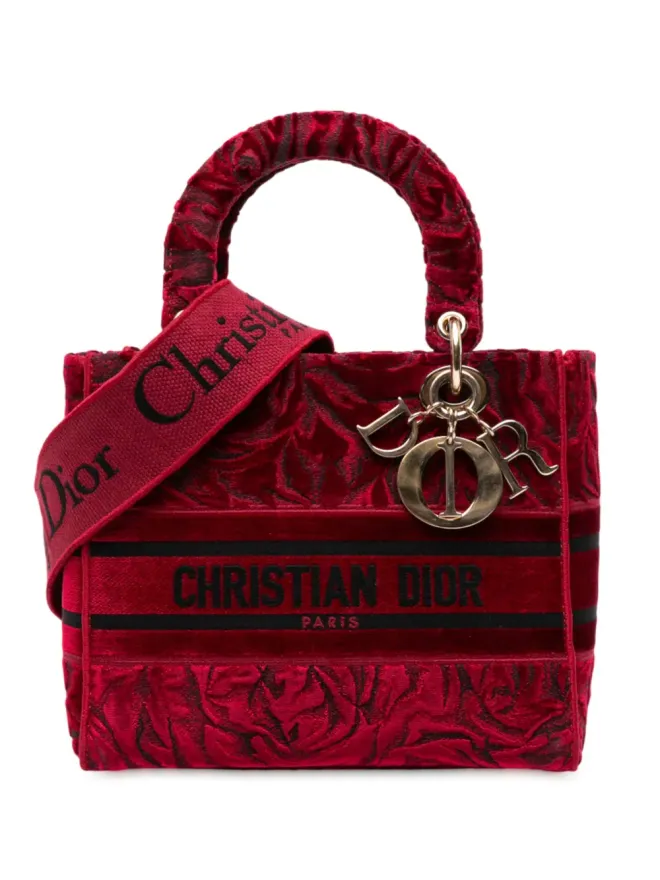 Christian Dior Pre-Owned Christian Dior ビンテージ 2021 ミディアム エンブロイダード ベルベット ローズ レディ D ライト サッチェルの商品画像