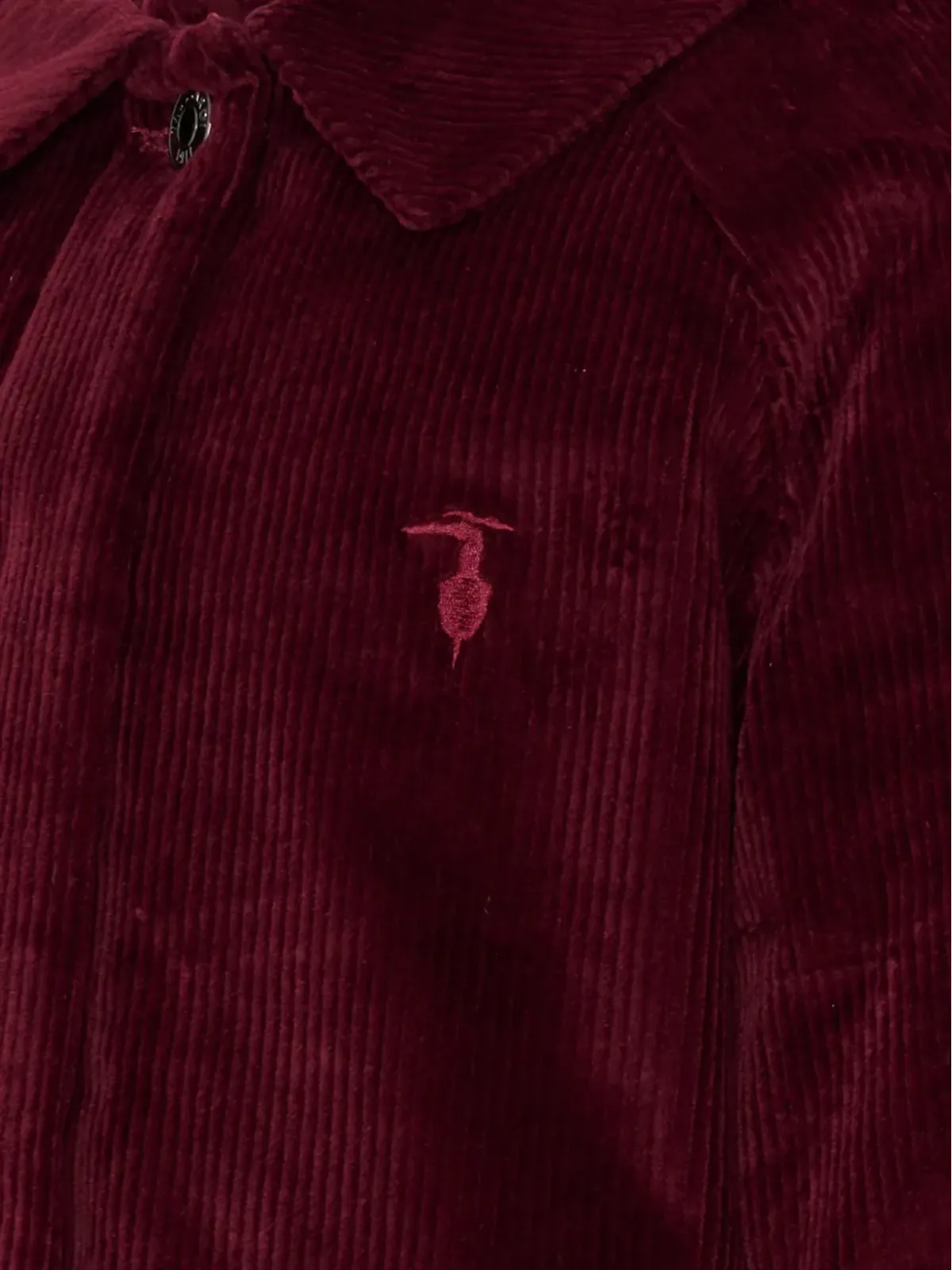 TRUSSARDI JUNIOR コーデュロイ衿付きコート - 画像3