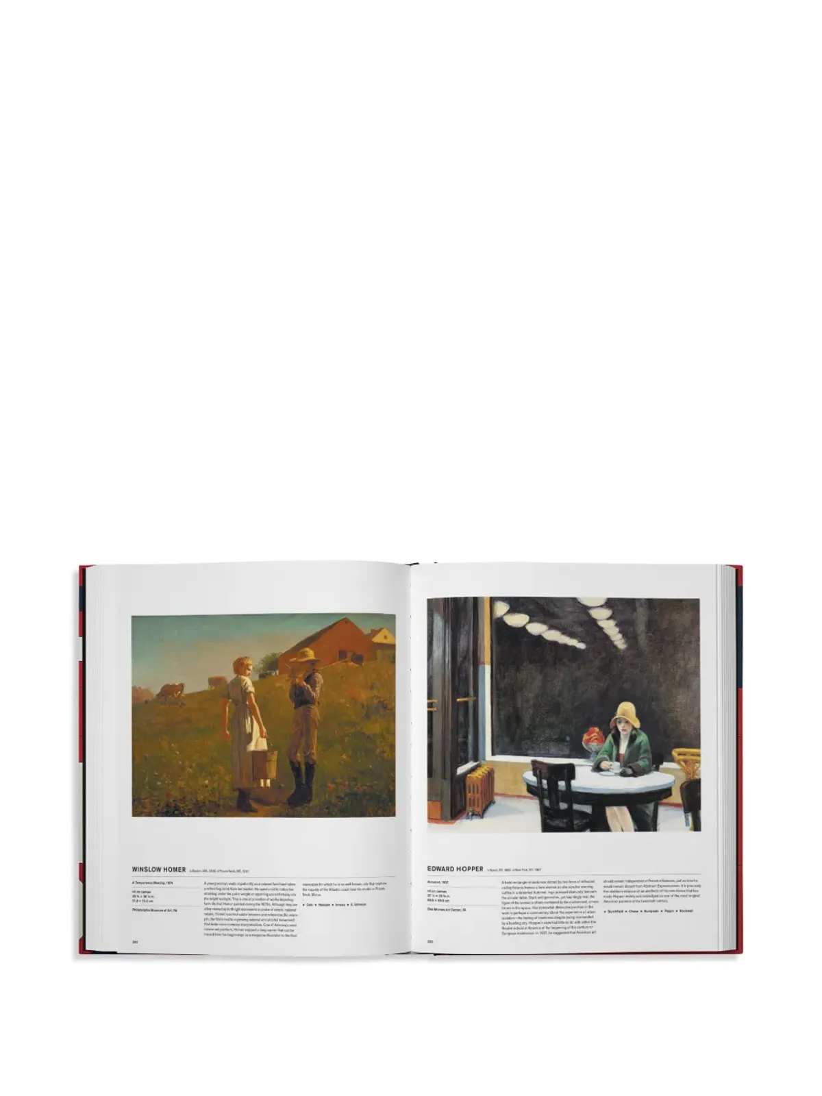 Phaidon Press アメリカンアートブック ハードカバー 赤 - 画像5
