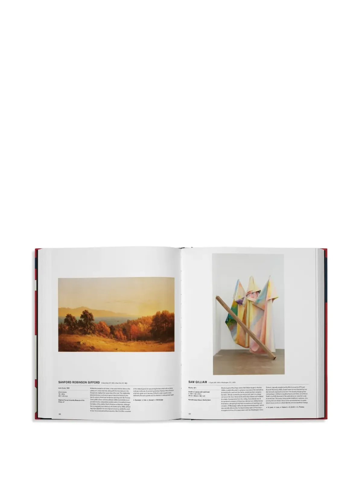 Phaidon Press アメリカンアートブック ハードカバー 赤 - 画像4