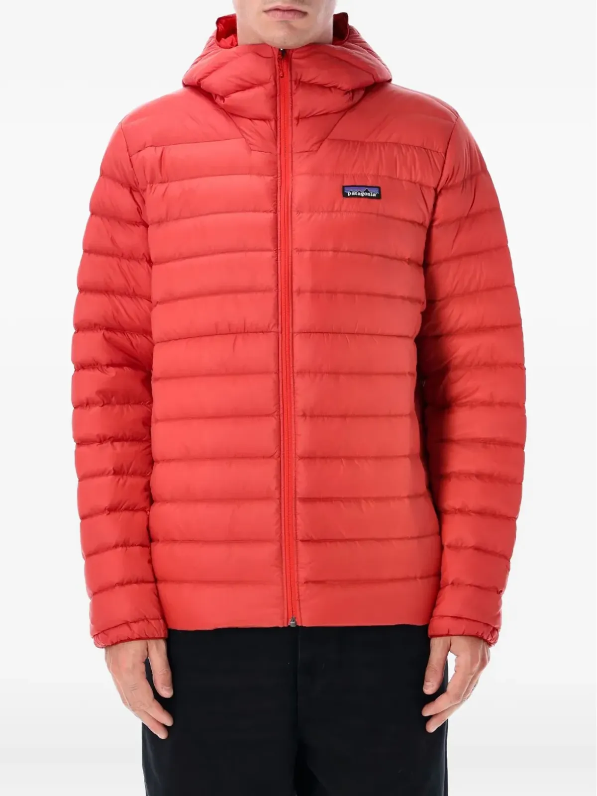 Patagonia ダウンセーターフード付きジャケット - 画像1