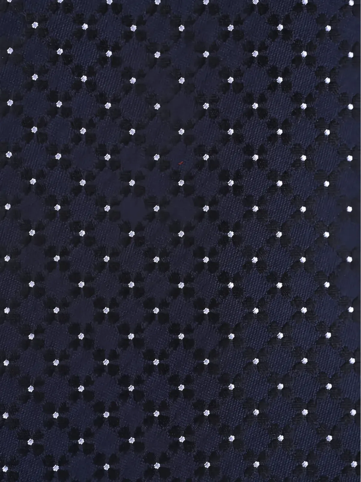 Zegna ポルカドットタイ - ブルー - 画像2