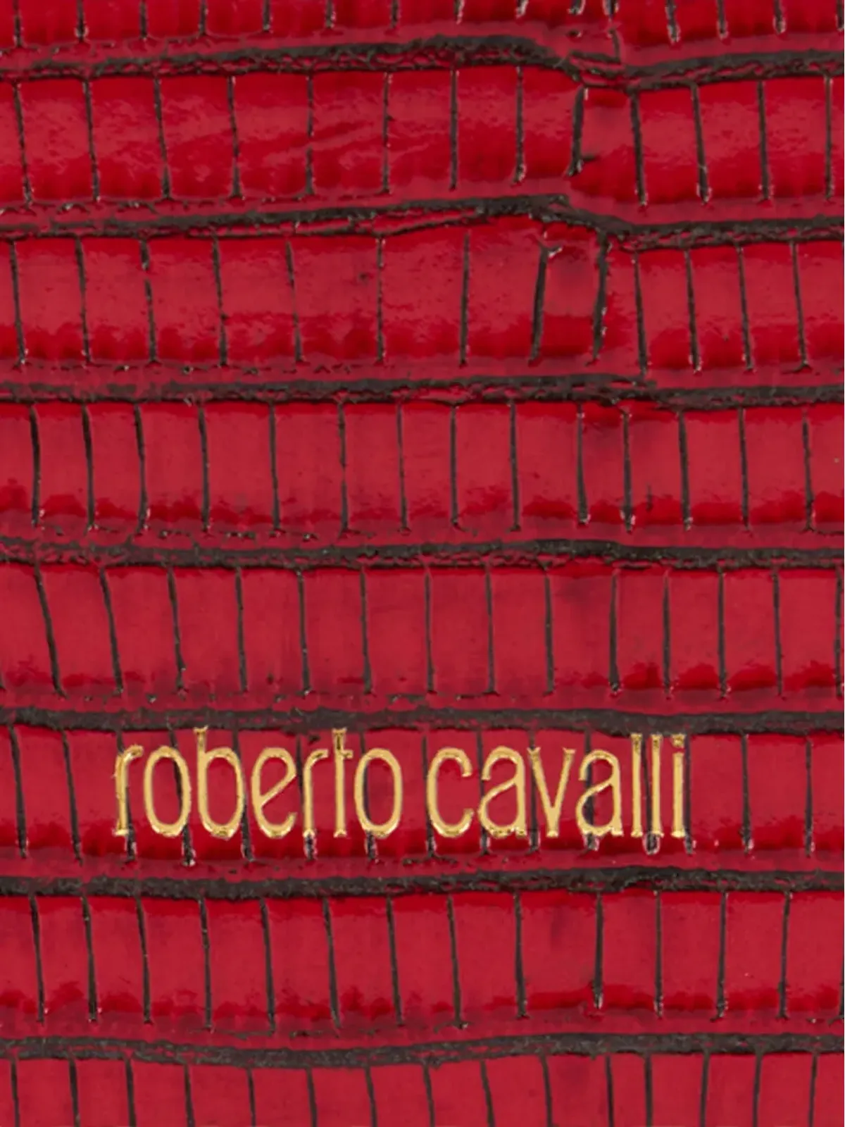 Roberto Cavalli 蛇柄エンボスレザーのトップハンドルチェーン付きクロスボディバッグ レッド - 画像5