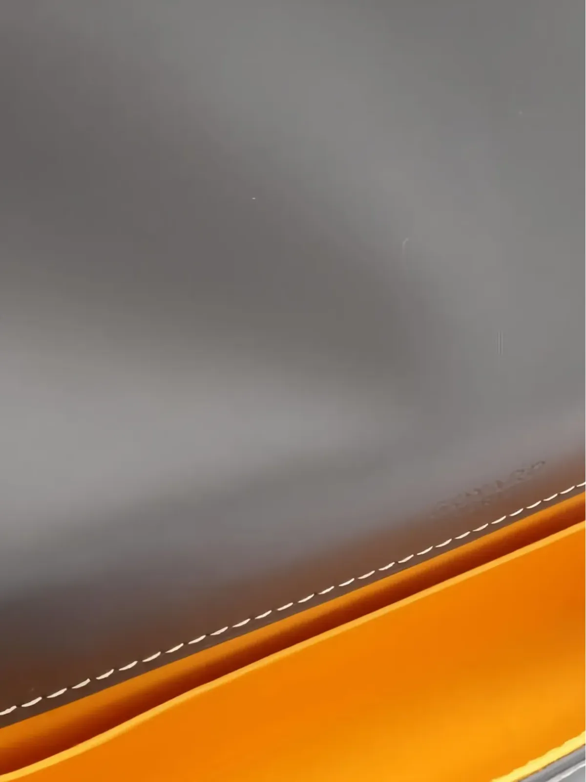 Goyard Pre-Owned モンテカルロポーチ - 画像3