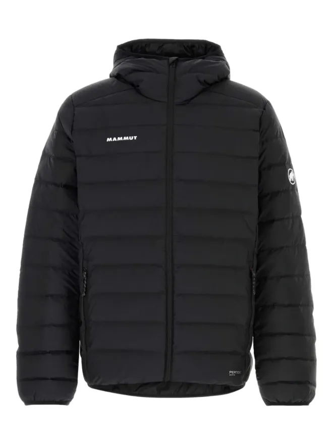 Mammut Mammut Waymarker ダウンジャケットの商品画像